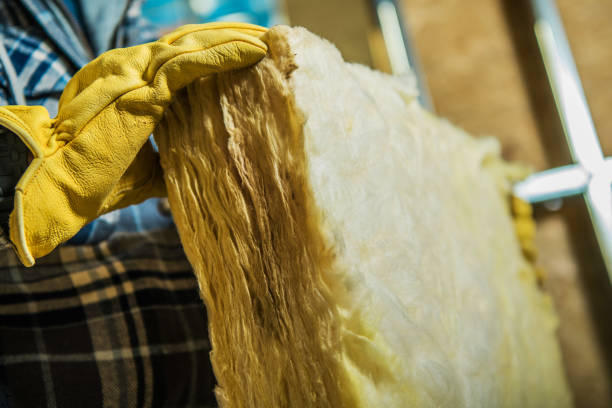 Best Specialty Insulation in Dulce, NM
